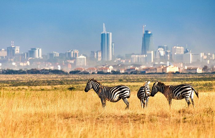 Nairobi Urban Safari